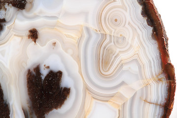 Image showing white and brown agate texture 