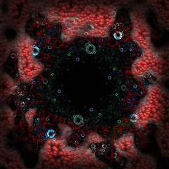 Image showing Symmetrical growth of bacteria