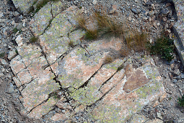 Image showing Cracked natural stone texture with grass 