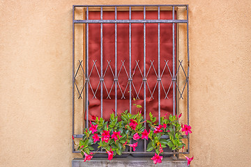 Image showing Iron grating window