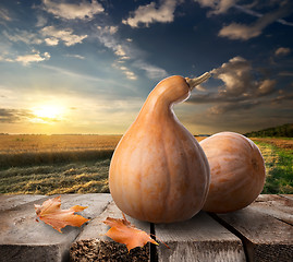 Image showing Pumpkins on table