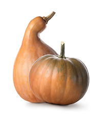 Image showing Orange pumpkins