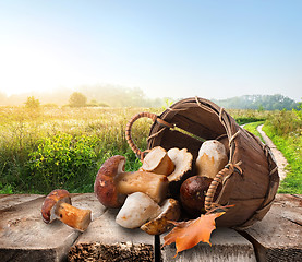 Image showing Mushrooms on a table