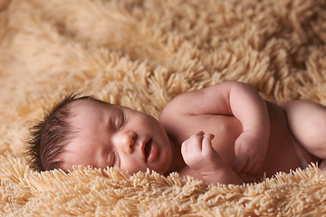 Image showing Newborn baby peacefully sleeping