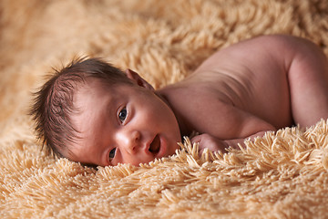 Image showing Newborn baby peacefully sleeping