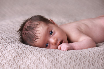 Image showing Newborn baby peacefully sleeping