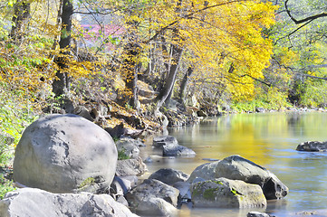 Image showing autumn forest