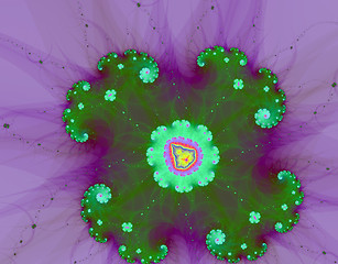 Image showing Violet Flower