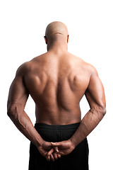 Image showing Muscular Back and Shoulders