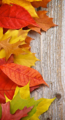 Image showing Frame of Autumn Leafs