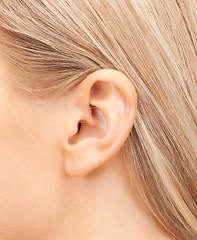 Image showing close up of woman's ear