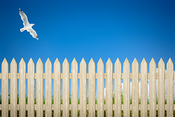 Image showing fence background