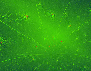 Image showing Green Leaf