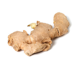 Image showing Fresh ginger rhizome