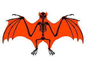 Image showing Bat skeleton