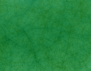 Image showing Green Leather