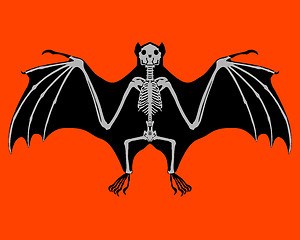 Image showing Bat skeleton