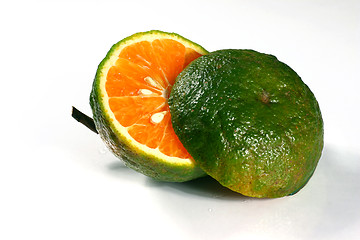 Image showing fresh orange