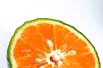 Image showing fresh orange