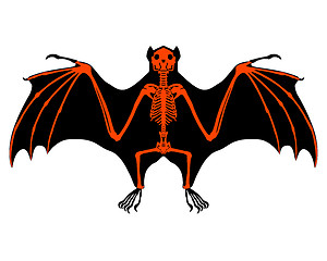 Image showing Bat skeleton