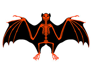 Image showing Bat skeleton