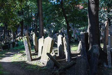 Image showing Old Jewish Cemetery in Prague