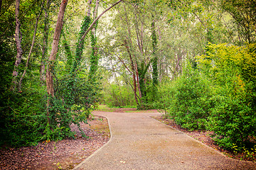 Image showing Walk path through green trees 