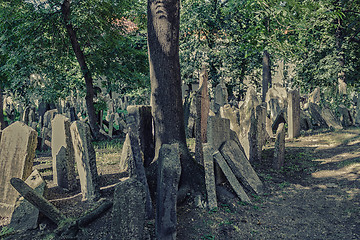 Image showing Old Jewish Cemetery in Prague