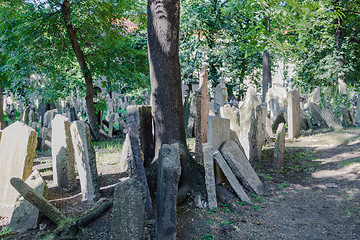 Image showing Old Jewish Cemetery in Prague