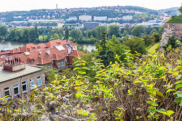 Image showing View of Prague and Vltava