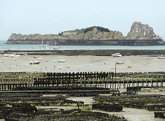 Image showing oyster beds at Cancale