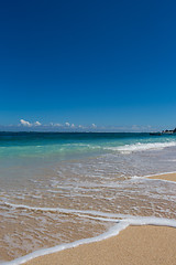 Image showing Beautiful tropical beach with lush vegetation