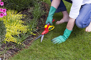 Image showing Close Up of Hands Trimming Grass with Clippers