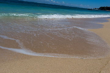 Image showing Beautiful tropical beach with lush vegetation