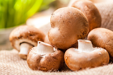 Image showing Fresh brown Agaricus mushrooms