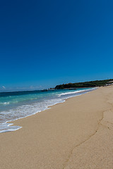 Image showing Beautiful tropical beach with lush vegetation