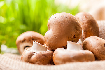 Image showing Fresh brown Agaricus mushrooms