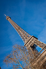 Image showing Eiffel Tower in Paris