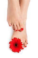 Image showing Woman with beautiful red manicured nails