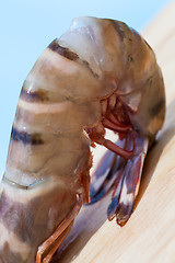 Image showing Four fresh whole tiger prawns