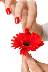 Image showing Beautiful hands of an elegant woman