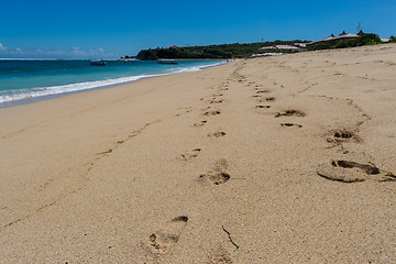 Image showing Beautiful tropical beach with lush vegetation