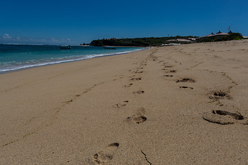 Image showing Beautiful tropical beach with lush vegetation