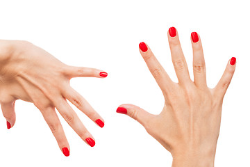 Image showing Woman with beautiful manicured red fingernails