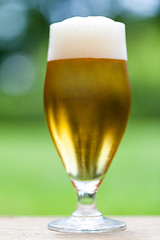 Image showing Elegant glass of cold refreshing beer