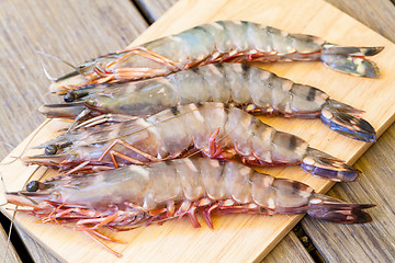 Image showing Four fresh whole tiger prawns