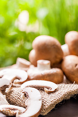 Image showing Fresh brown Agaricus mushrooms