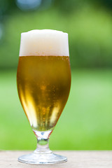 Image showing Elegant glass of cold refreshing beer