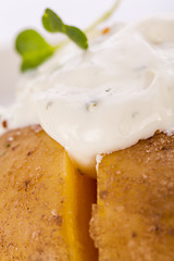 Image showing Baked jacket potato with sour cream sauce