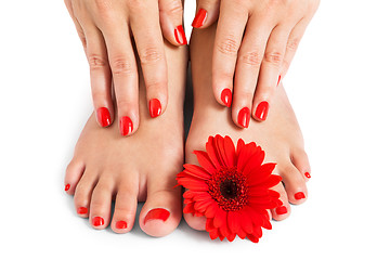 Image showing Woman with beautiful red manicured nails